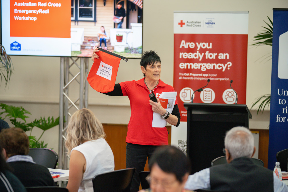 A Red Cross EmergencyRedi workshop in progress