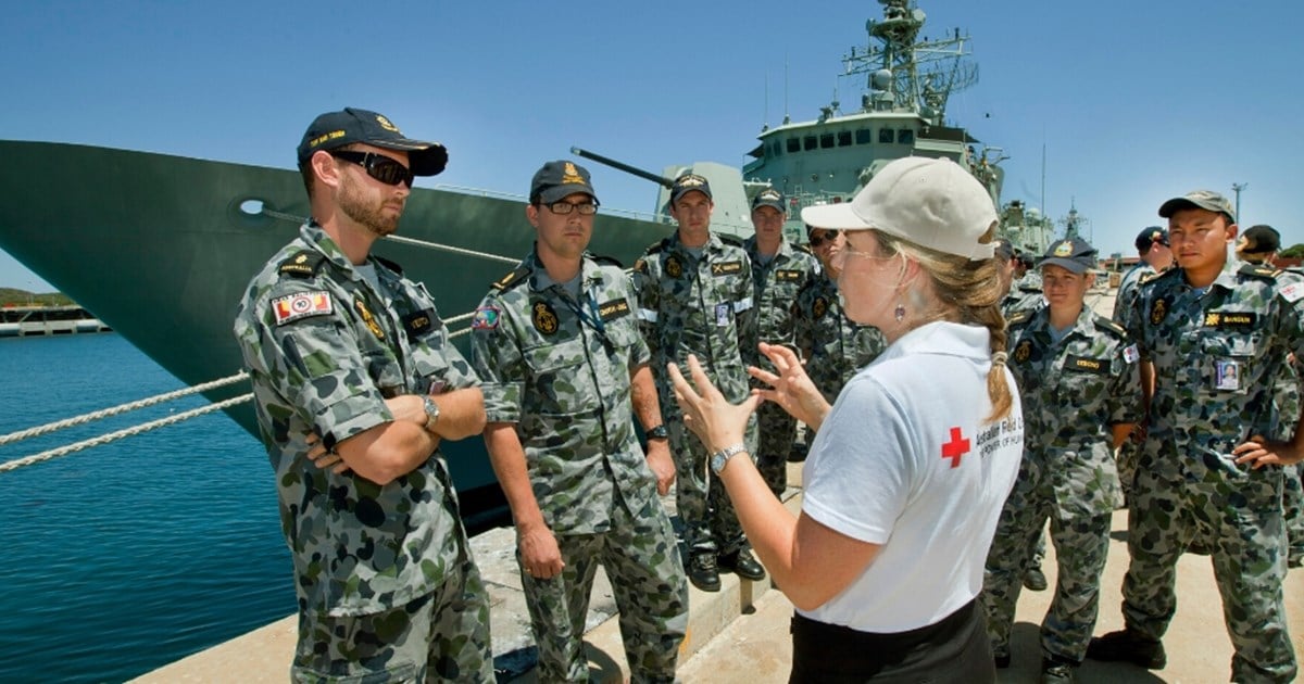 What do the laws of war, dogs and pickles have in common?