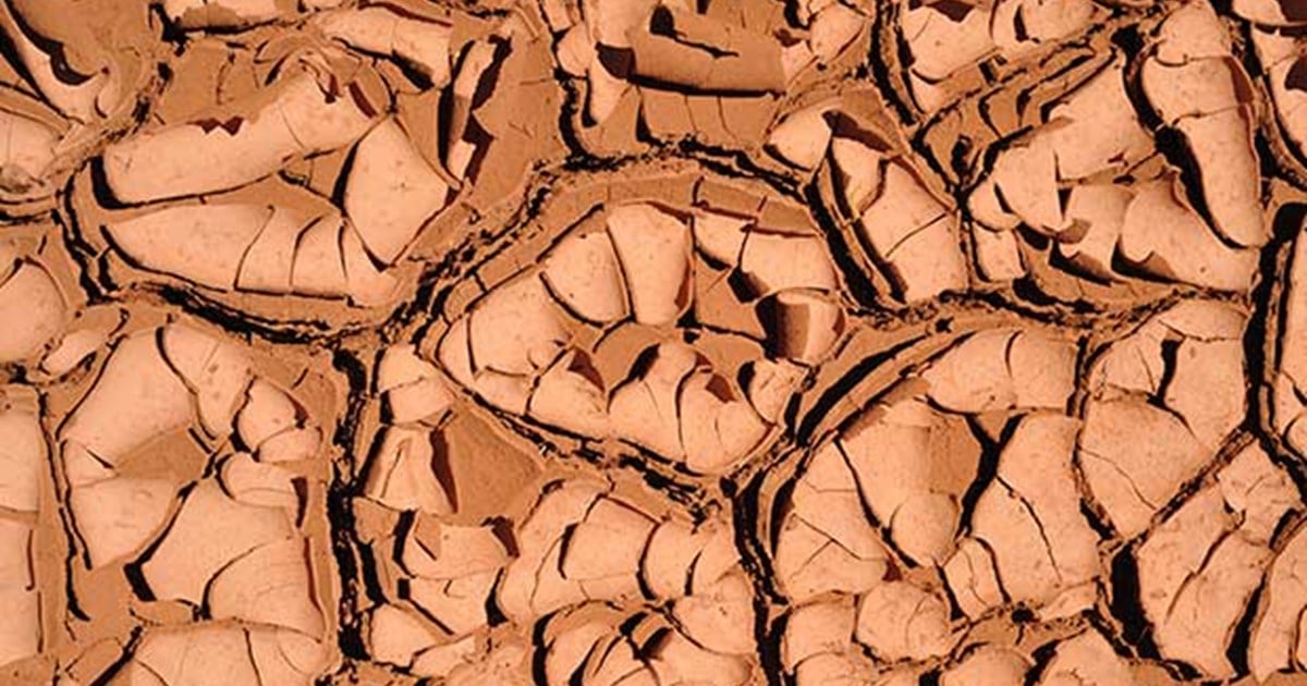 The humanitarian cost of climate change