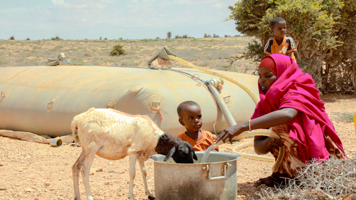 Global hunger crisis escalating in severity